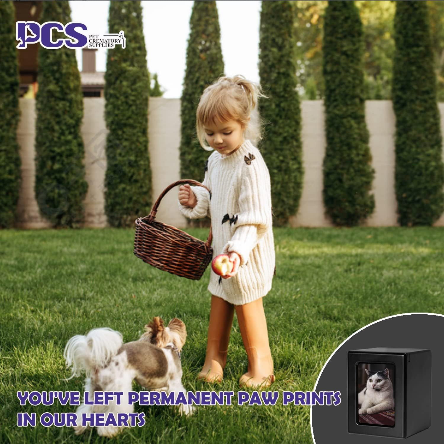 PCS Cat Urn for Ashes – Photo Urn, Black Small Pet Cremation Box
