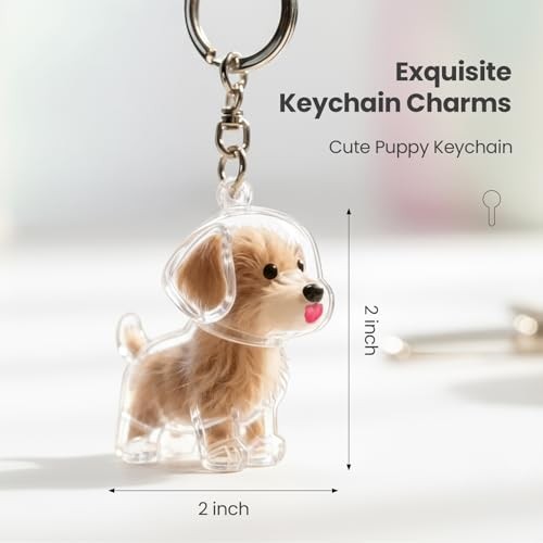 Dog Hair Keychain,Transparent Bottle for Fur,Dog Memorial Gifts for Loss,Pet