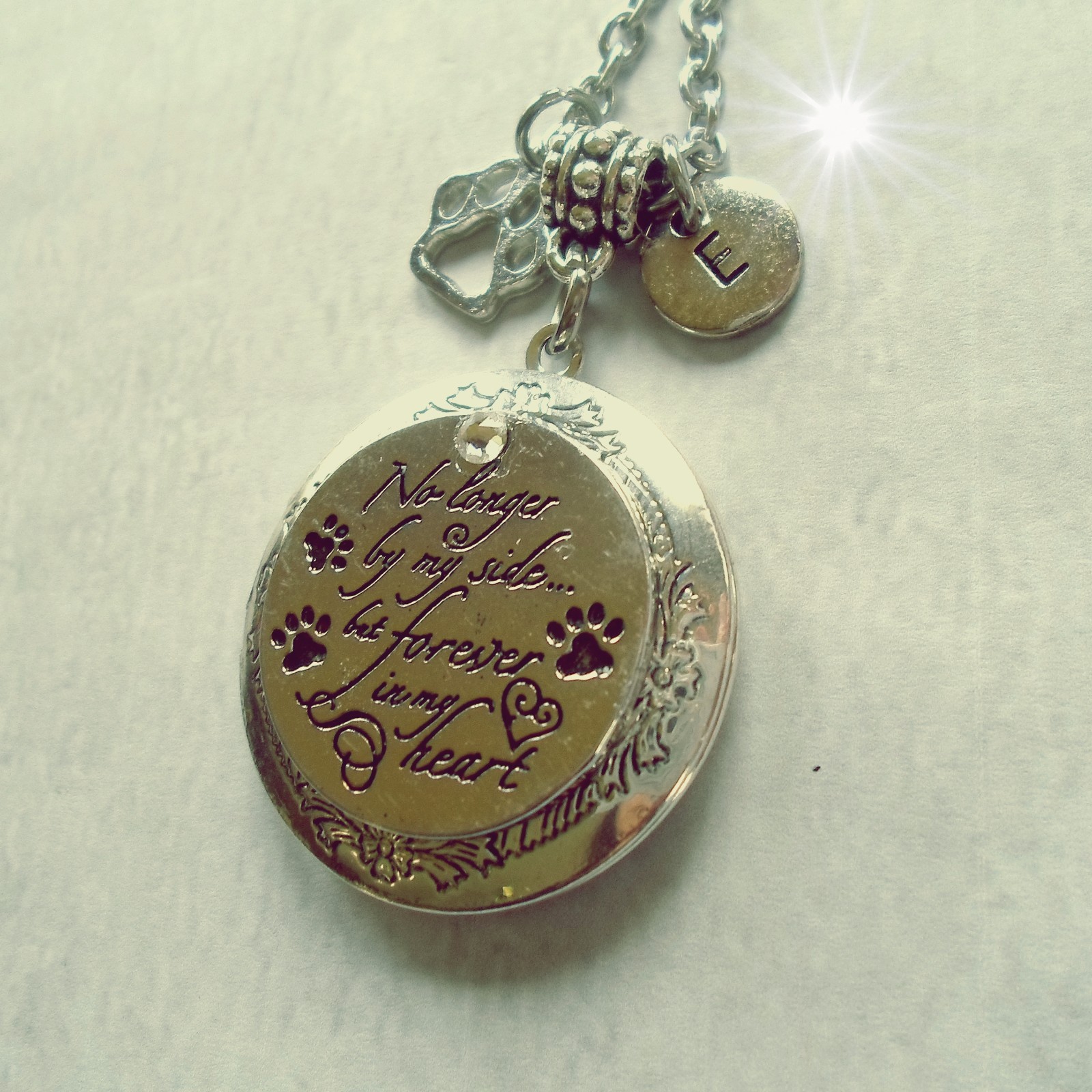 No longer by my side but forever in my Heart, Pet Memorial Locket w-Your Photo
