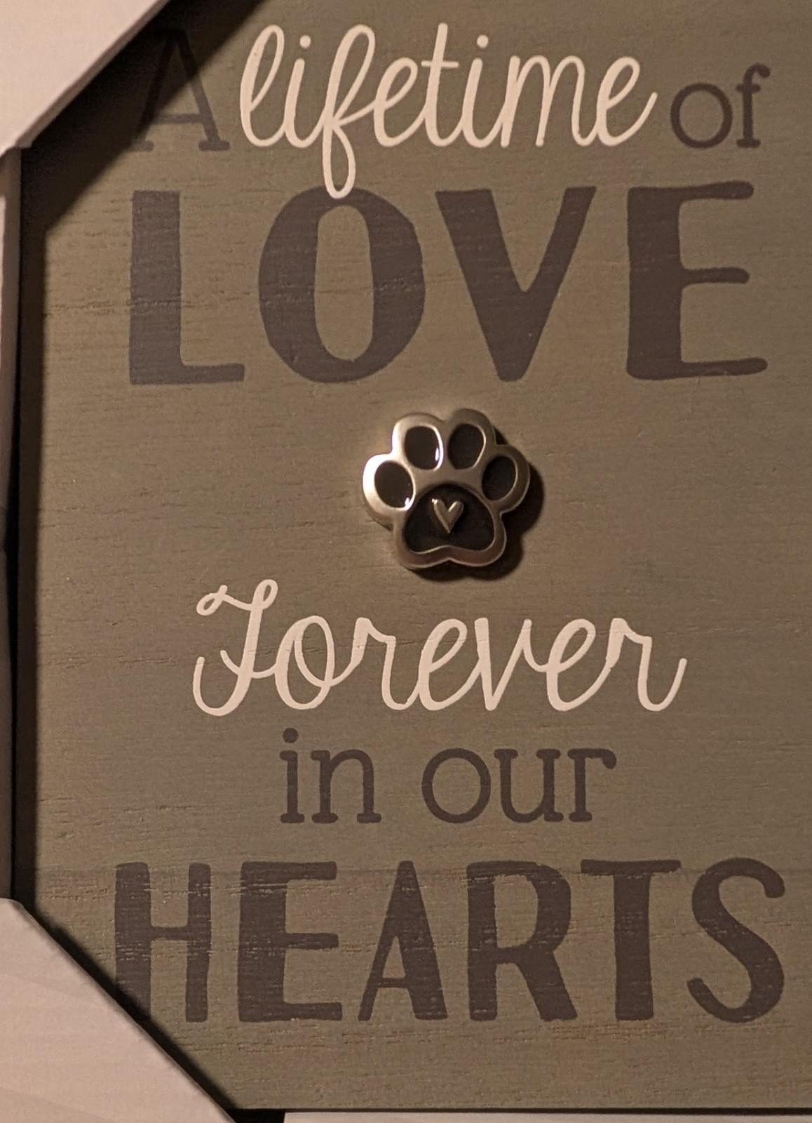 Dog Cat Memorial Frame 4×6 Photo Lifetime of Love -Forever In Our Hearts NEW