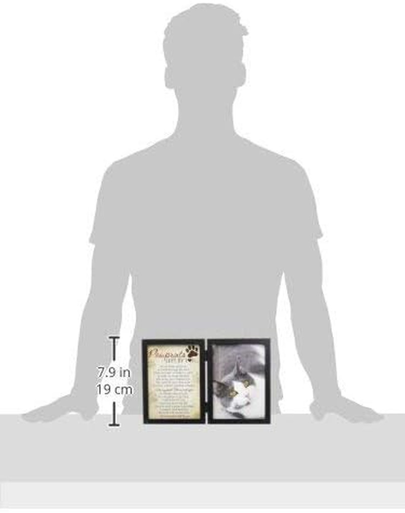 Pawprints Left by You Memorial 5X7 Frame for Cat with Pet Tag – Thoughtful Cat M