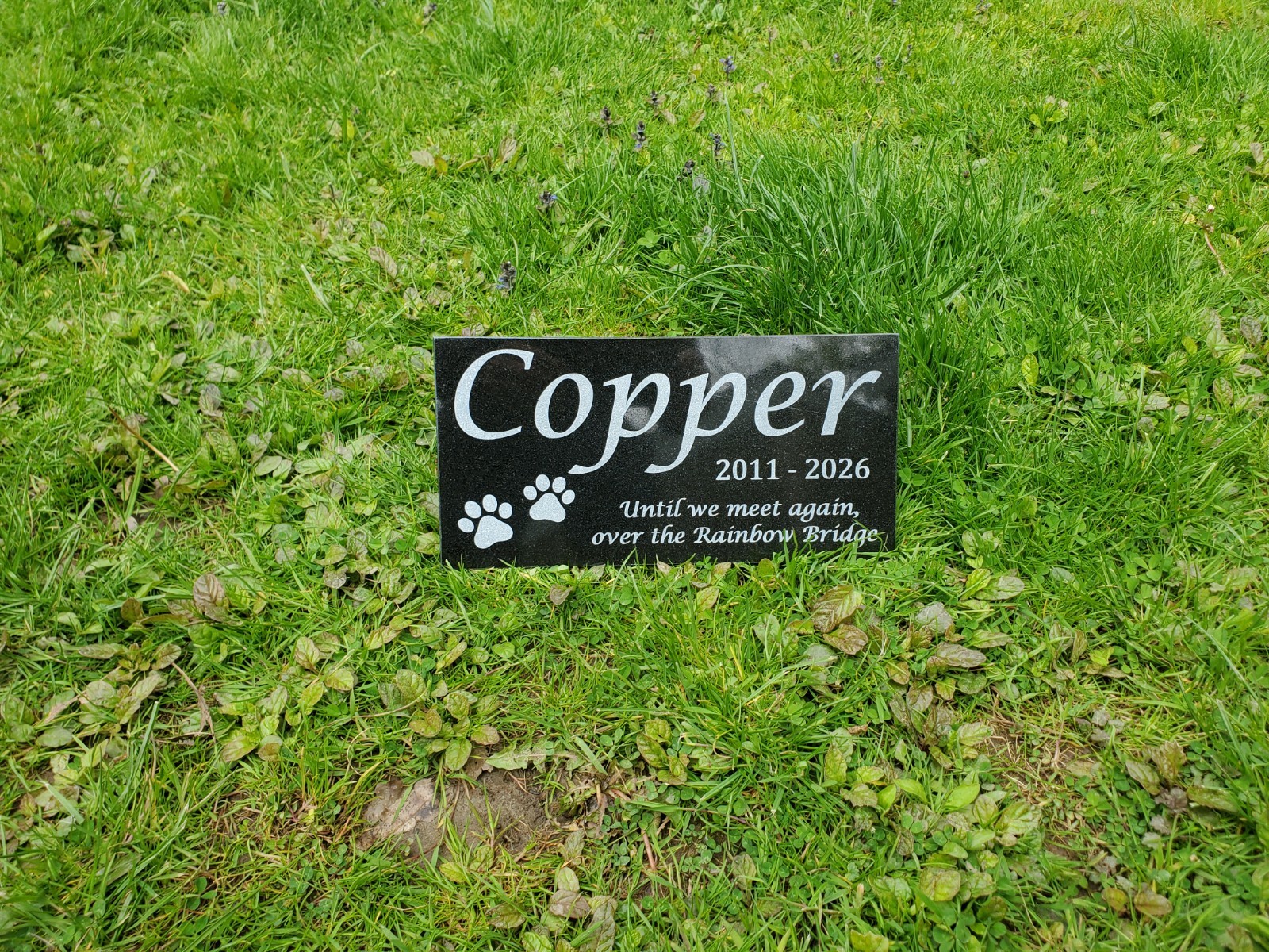 Pet Memorial Grave Stone Marker | Dog Cat Headstone Tombstone Pet Loss Gift t22