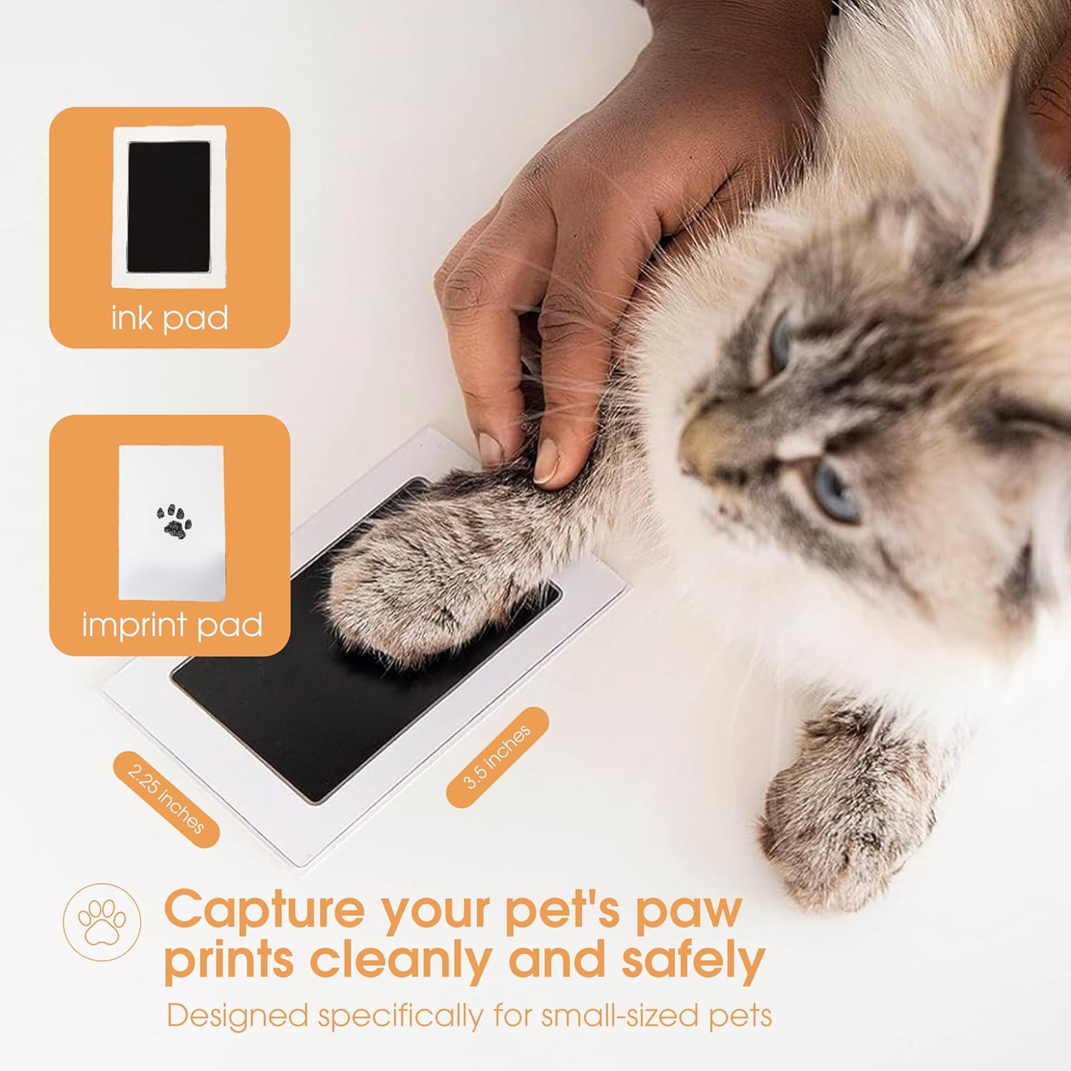 Paw Print Ink Pad Kit for Dogs & Cats – DIY Keepsake Impression Set