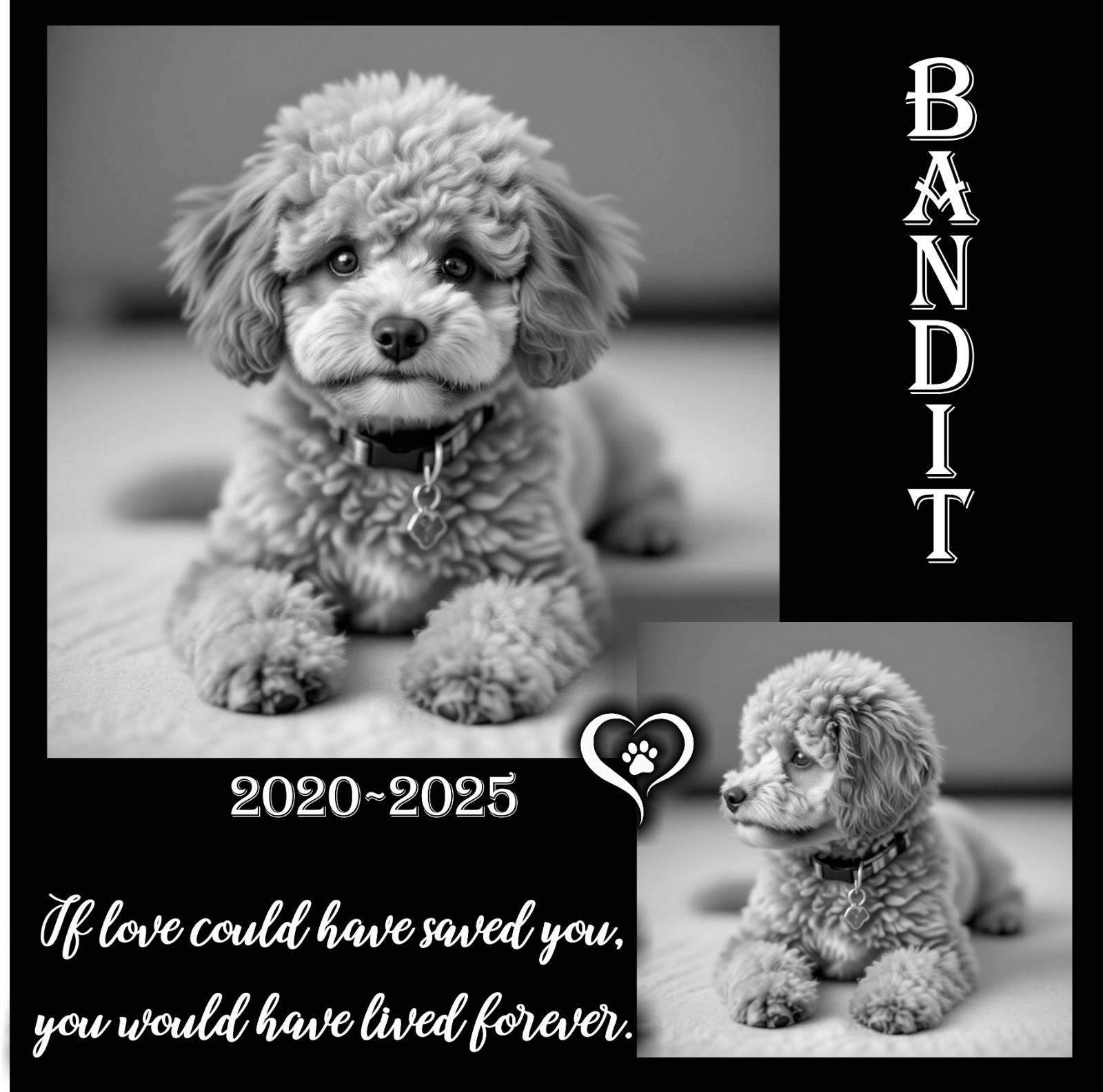 Personalized Memorial Grave Marker Granite Plaque headstone 12×12 Engraved dog