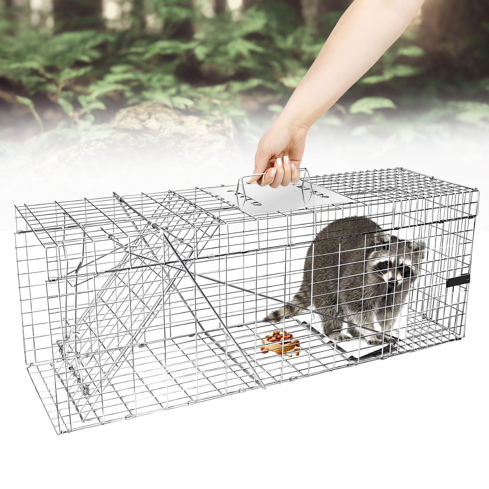 Live Animal Cage Trap, 31″ x 11″ x 12″ Heavy Duty Folding Raccoon Traps, Huma…