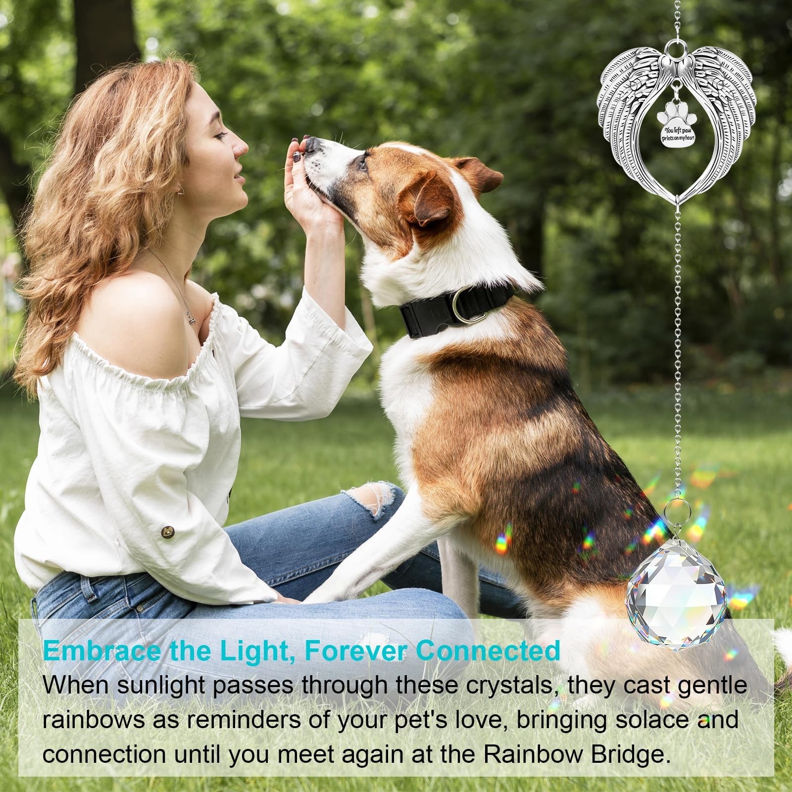 Pet Memorial Gifts for Loss of Dog or Cat, AVIMO Crystal Suncatcher with Rain…