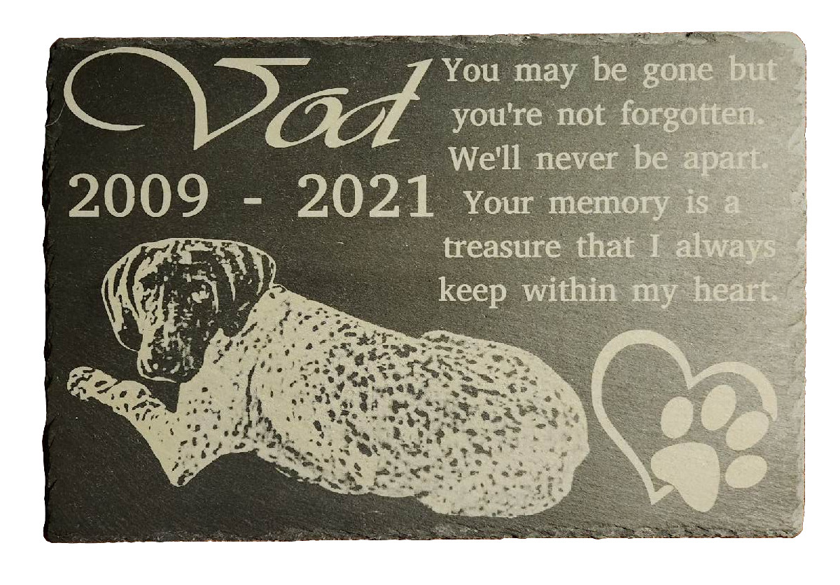 Celebrate Your Beloved Pet’s Legacy in Style!