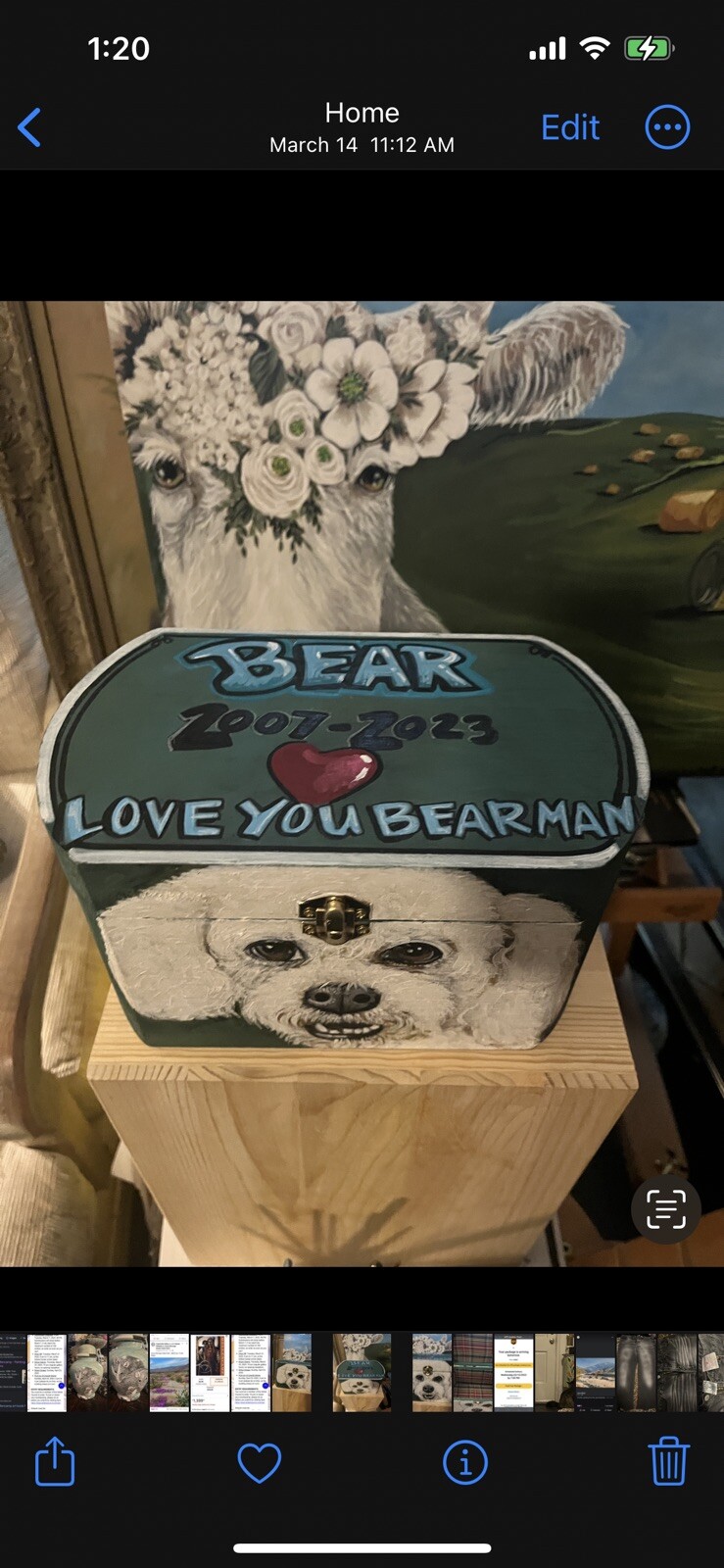 Custom hand painted portrait memorial LARGE Wood box Pet URN white poodle bijon