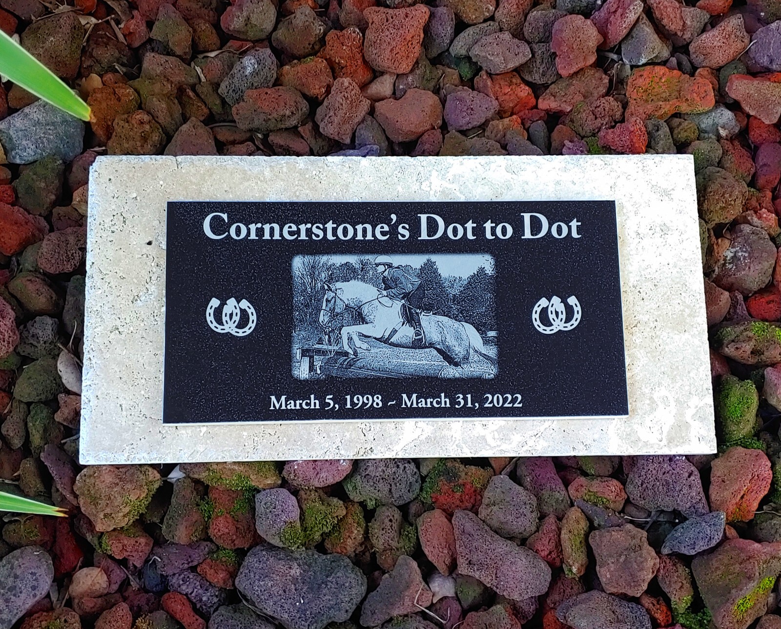 6×4 Memorial for Dog, cat, horse, chicken