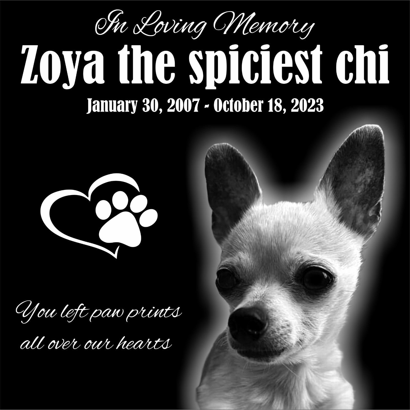 Personalized Pet Stone Memorial Grave Marker Granite Plaque Human headstone