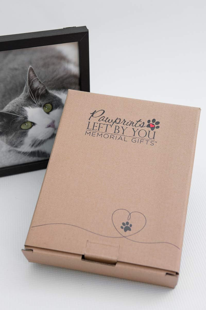 Pawprints Left by You Memorial 5X7 Frame for Cat with Pet Tag – Thoughtful Cat M