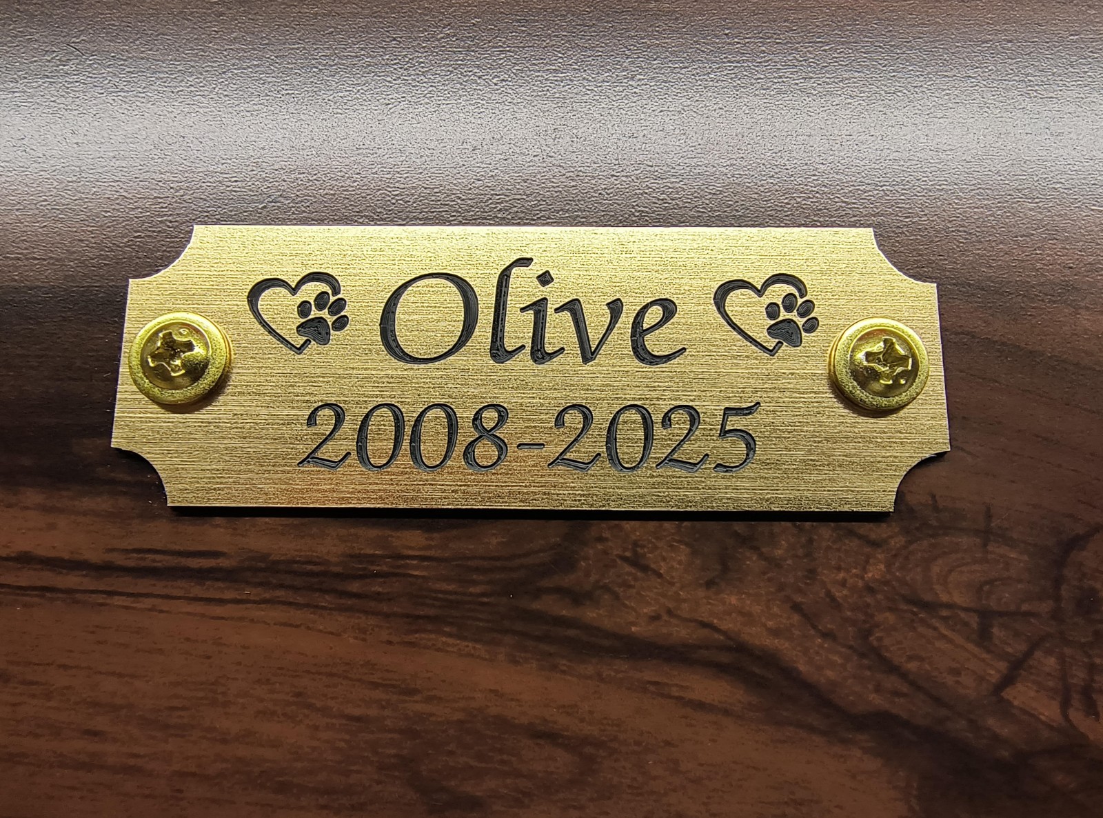 Custom Engraved 1.25×3.5 Brushed Gold Pet Memorial Urn Plaque Plate w Screws