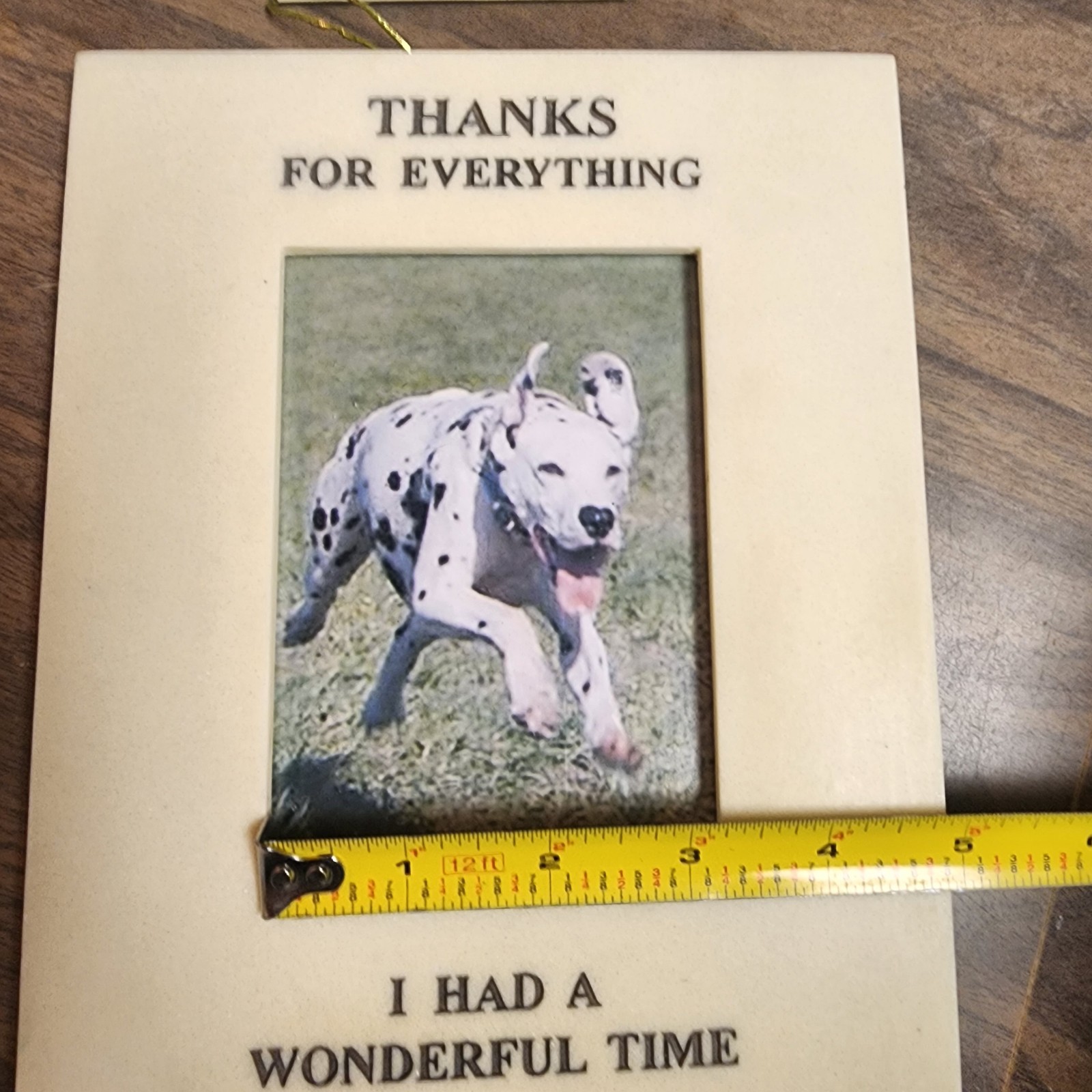 NWT Pet Memorial Photo Frame Marble Resin 6.25x8in.