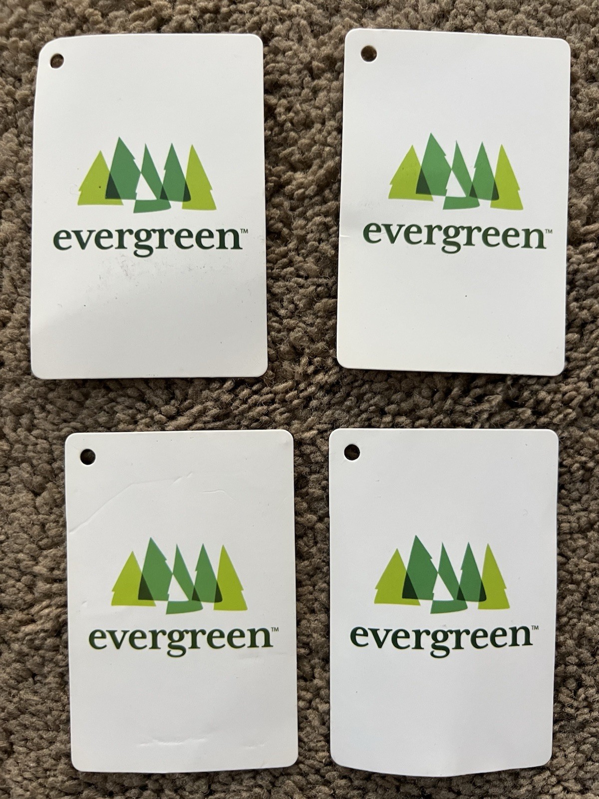 4 Different 8 in x 4 in Pet Remembrance Grave Marker Memorial Flags w/Stands NEW