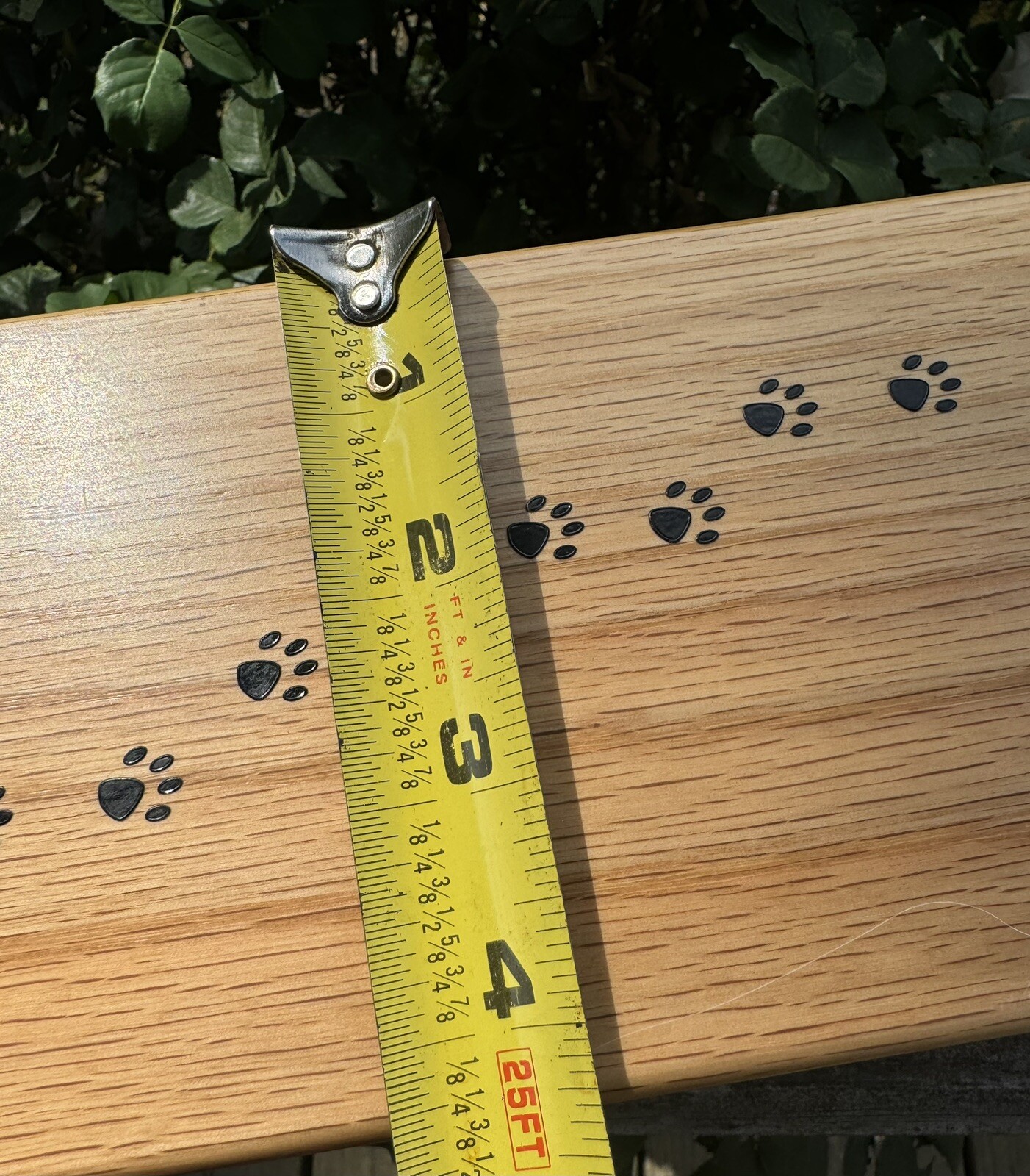 Lg Pet Cremation Urn Inlay Paw Print Wood Box Cat Dog Ashes Memorial Chest 10”