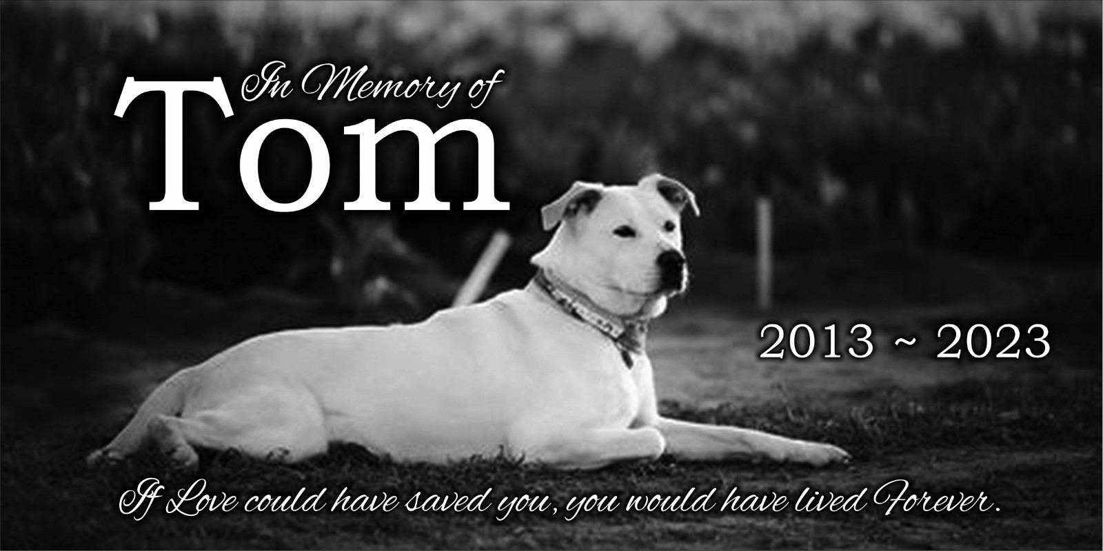 Pet Stone Memorial Grave Marker granite Plaque Human headstone Airedale Terrier