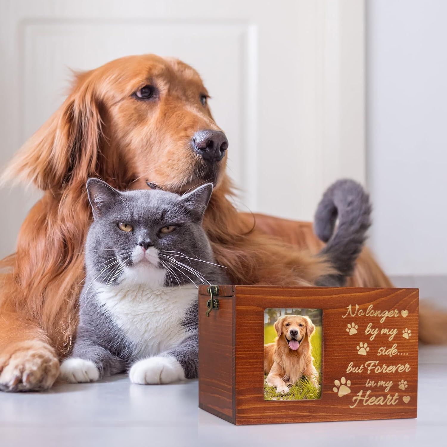 Pet Memorial Urn for Dog or Cat Ashes Wooden Dog Urns Keepsake Memory Box Cremat