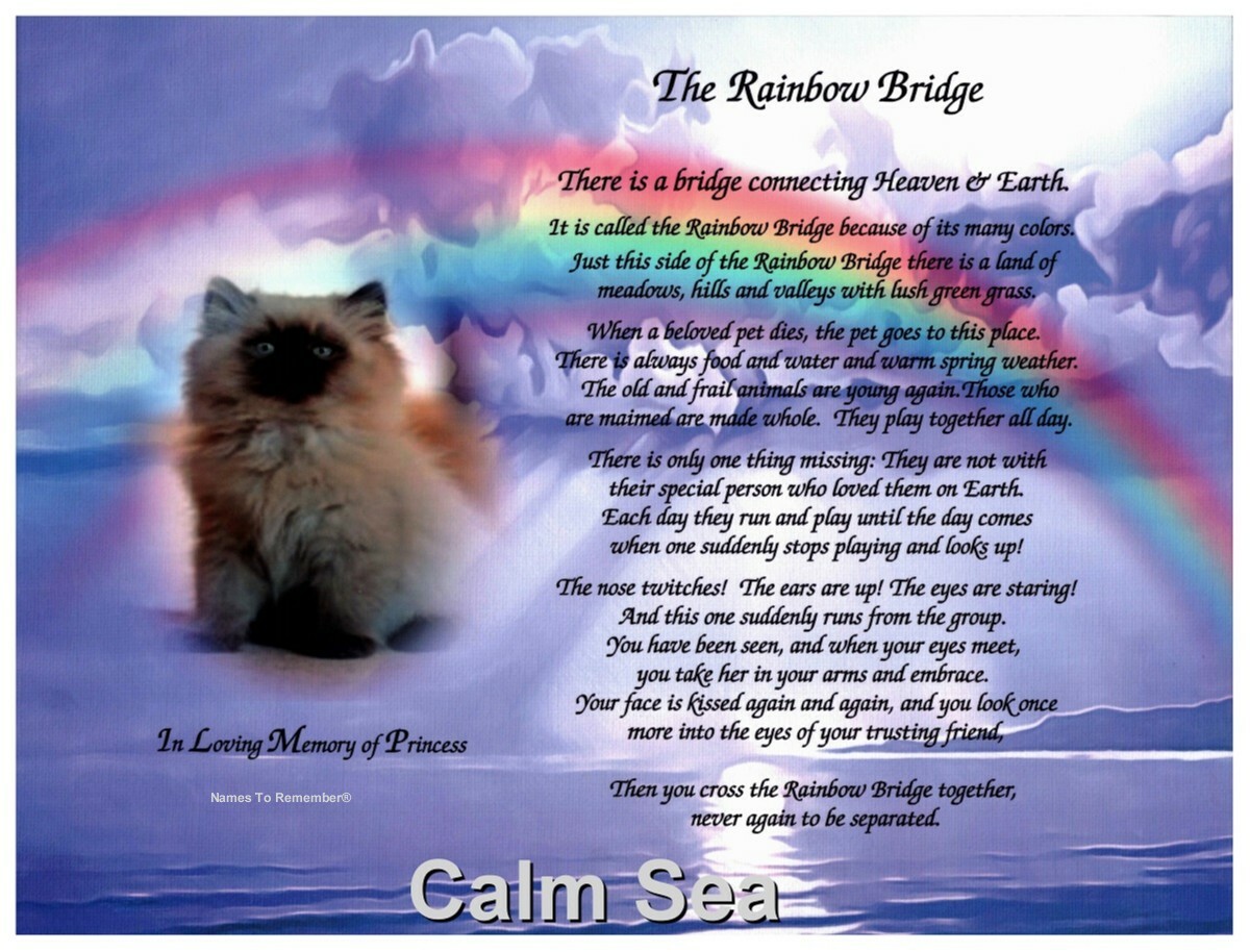 The Rainbow Bridge Memorial 14″ x11″ Photo Gift for Loss of a Pet Optional FRAME