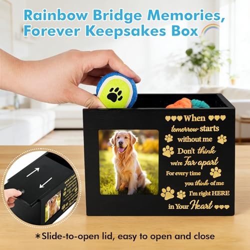 Rainbow Bridge Pet Memorial Gifts – LED Light Dog or Cat Urns for Ashes with