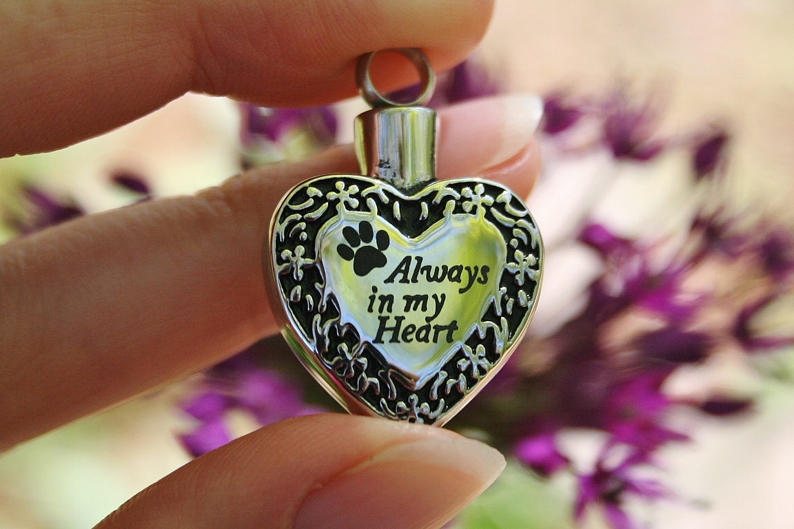 Pet Cremation Necklace Jewelry Pendant Urn Paw Print Always in My Heart Dog Cat