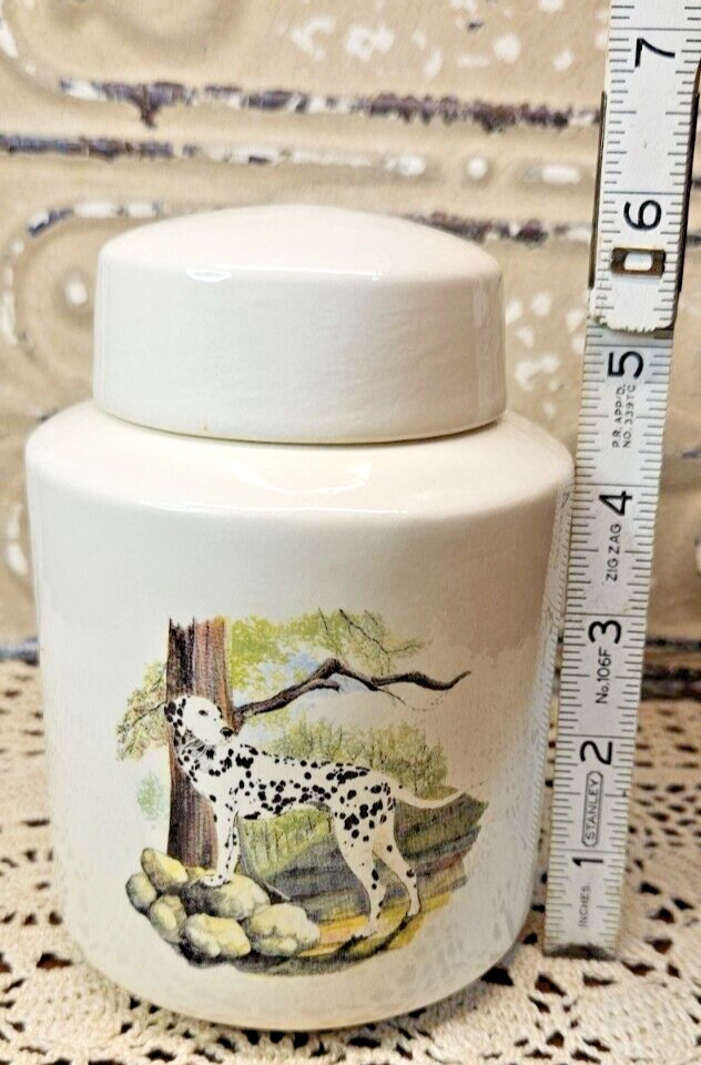 Dalmatian Dog Ceramic Pet Urn Pictorial Memorial Jar w/ Lid