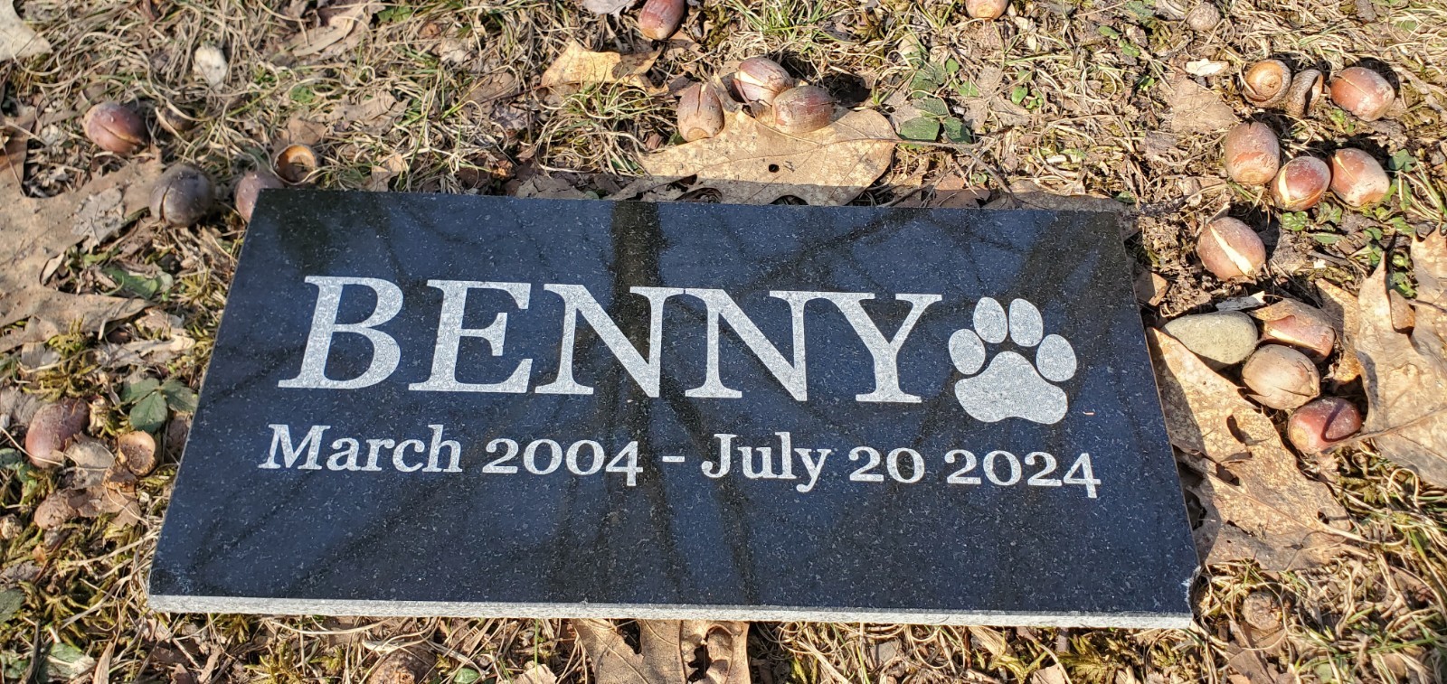 Pet Memorial Gravestone Granite Stone Grave Marker Headstone Garden Plaque t9