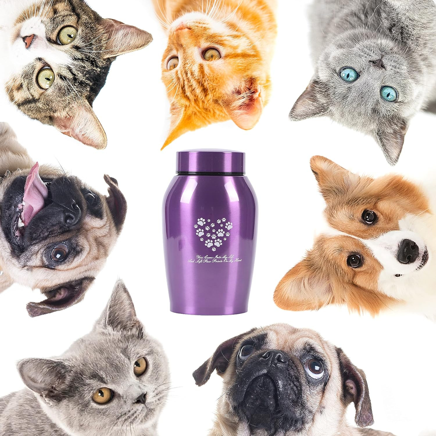 Stainlee Steel Pet Urns,Paws Engraved Dog Urn for Ashes,Cat Creamtion Urn for As
