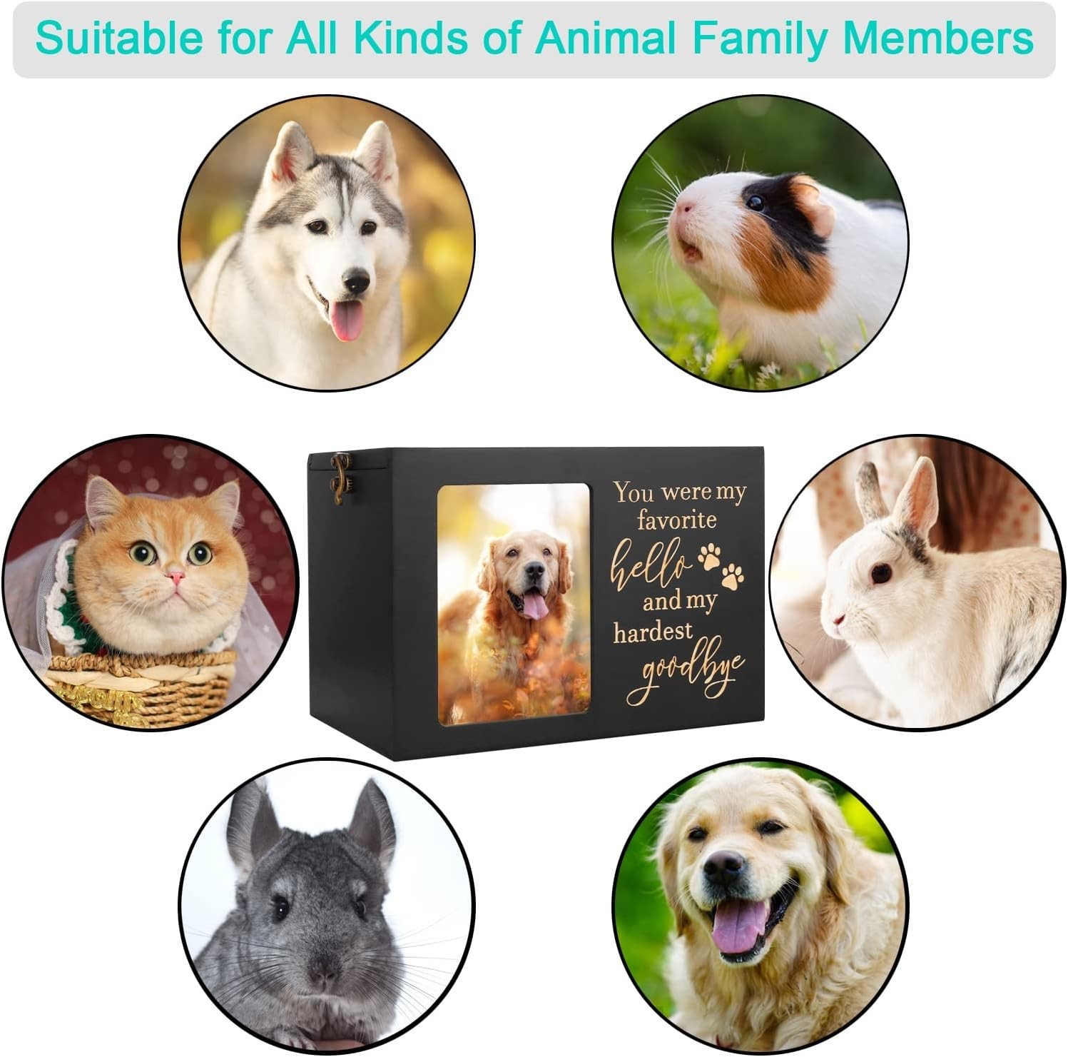 Personalized Pet Cremation Urn with Black Flannel & Photo Display, Large Size