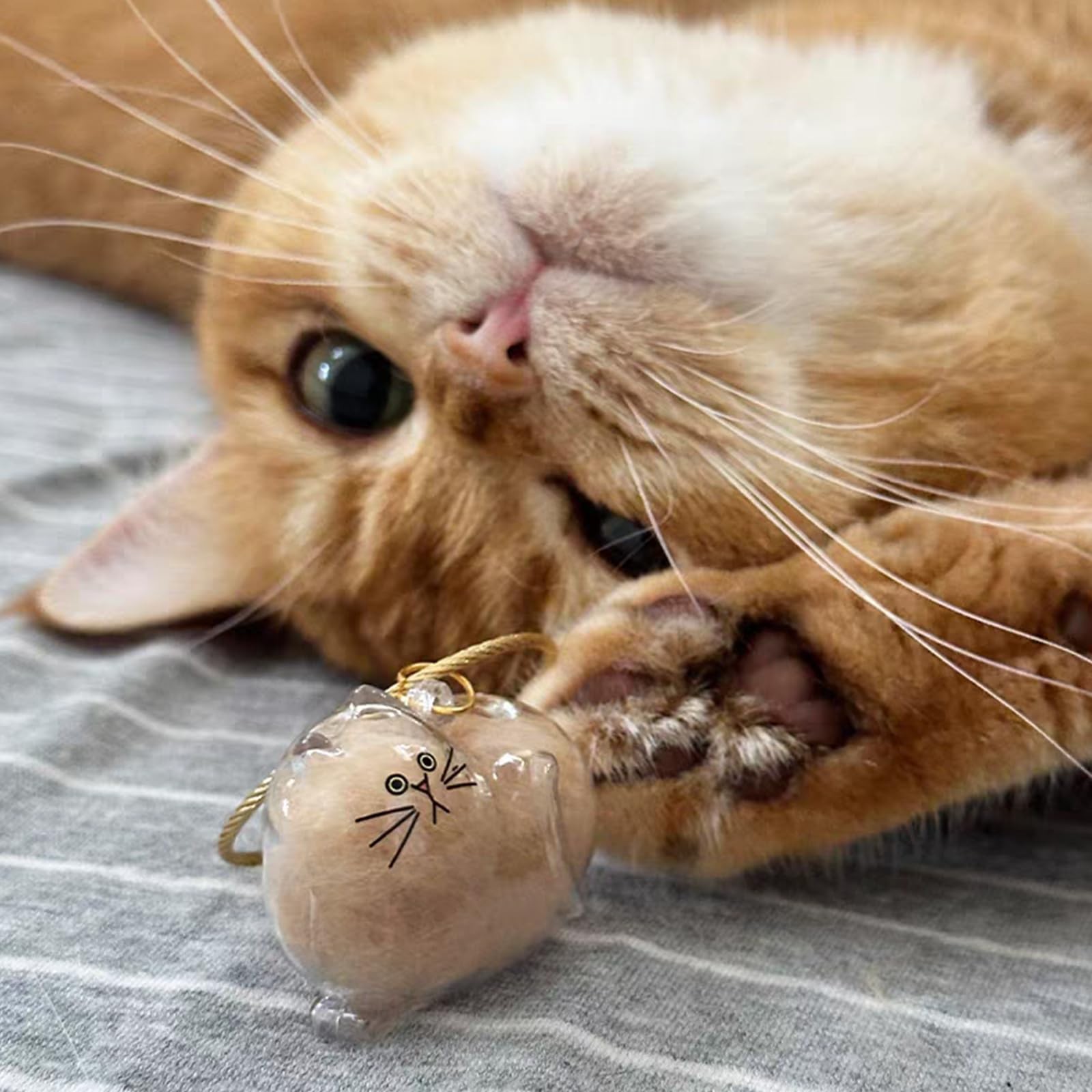 Cute Cat Hair Keychain Cat Fur Keepsake with Tweezer, Transparent Pet Fur Mem…