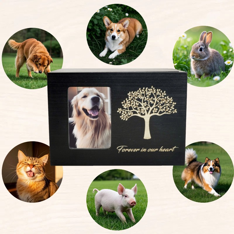 Wooden Pet Memorial Urn For Dog & Cat Ashes Loss Pet Memorial Remembrance Gift