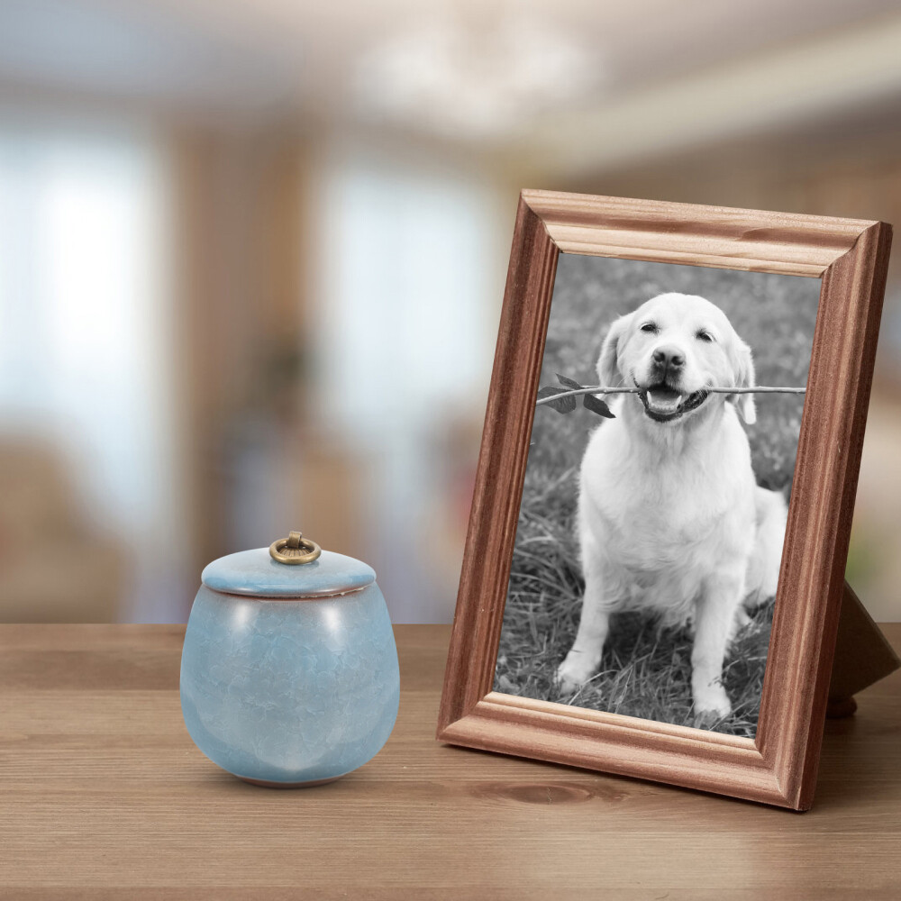 Pet Urns for Cats Blue Mini Keepsake Sympathy Ashes Storage