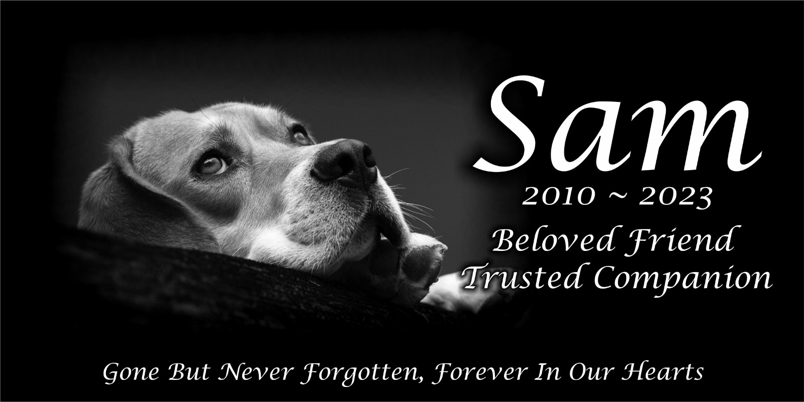 Personalized Pet Stone Memorial Grave Marker Granite Plaque Human headstone cat