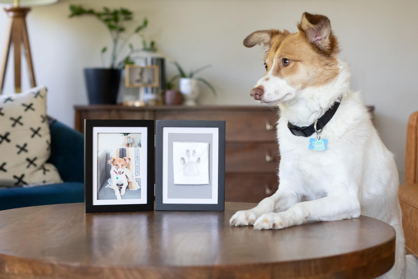 Pearhead Pet Paw Print Photo Frame With Clay Imprint Kit – Wooden Pet Paw Pri…