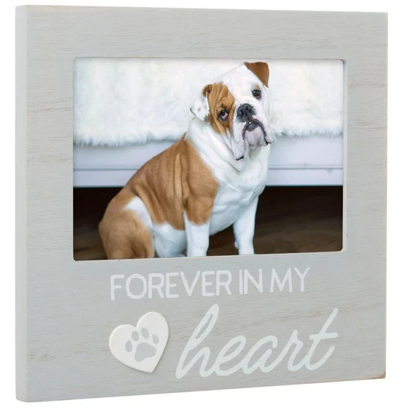 Pearhead Pet Forever In My Heart Memorial Keepsake Picture Frame, Color Varies