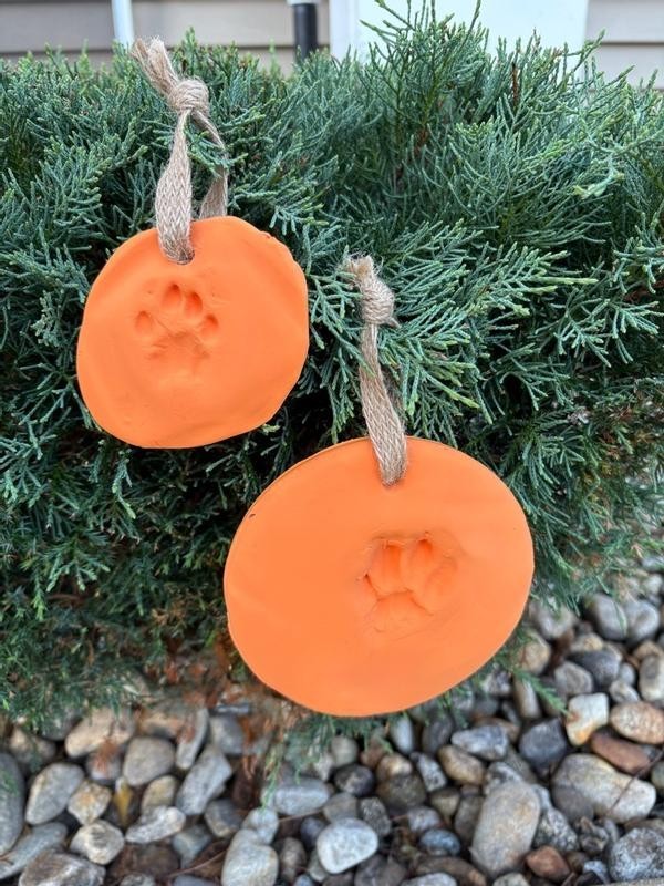 Pawprint Ornament Kit Pearhead Pet DIY Pawprints Keepsake Dogs Or Cats