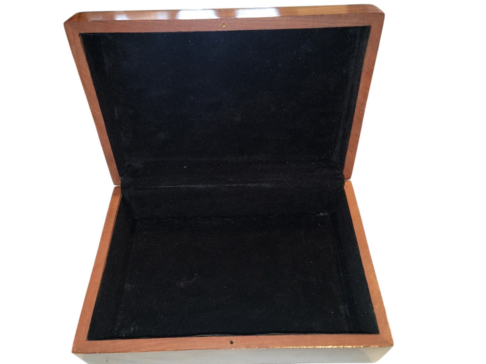 Pet urns for Dogs Wood and Resin art Box 9 inch length 6 inch Breadth 3 Height