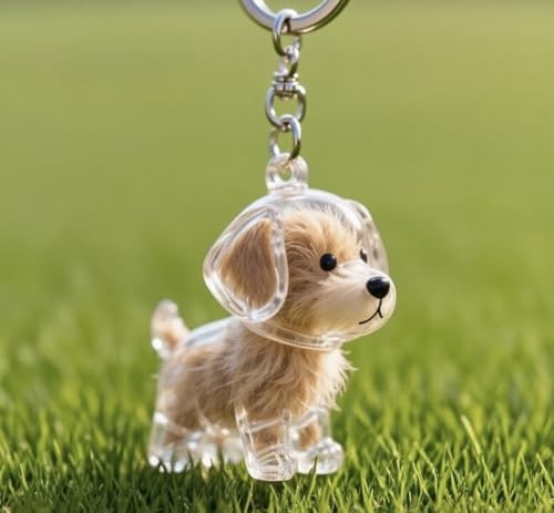 Dogair Collector Keychain Charm Memorial Storage Box, Transparent Bottle for H