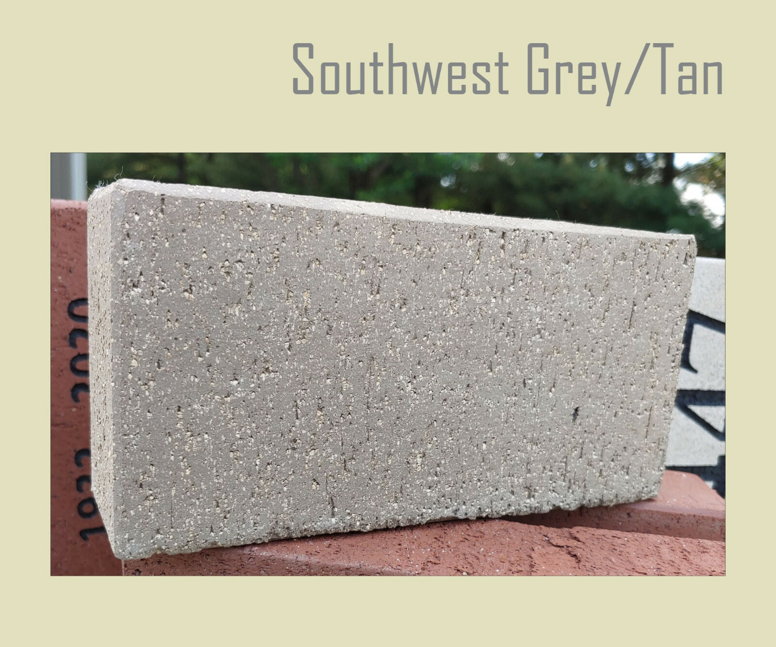 Customizable PET MEMORIAL STONE Engraved Custom Dog Cat Paw Paver Brick Memory