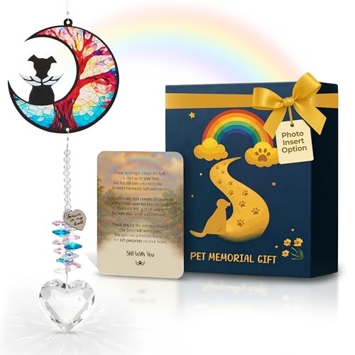 Pet Memorial Crystal Suncatcher – Dog Angel Rainbow Bridge Sympathy Gift, Bereav