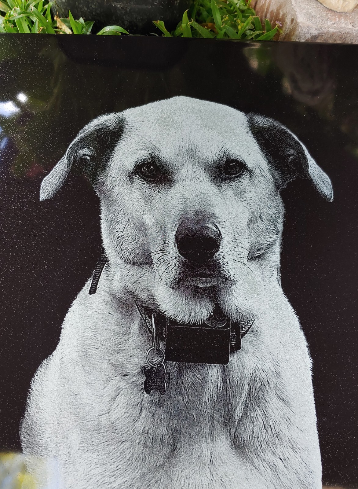 Tombstone Paw Print Pet Memorial Stone Gravestone Picture Grave Garden Dog Puppy