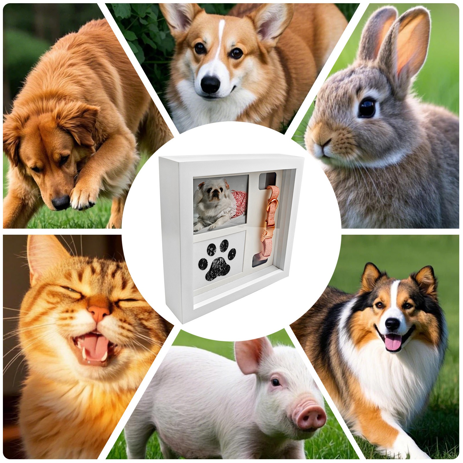 Pet Memorial Picture Frame, Pet Paw Print Impression Kit For Dogs & Cats(White)