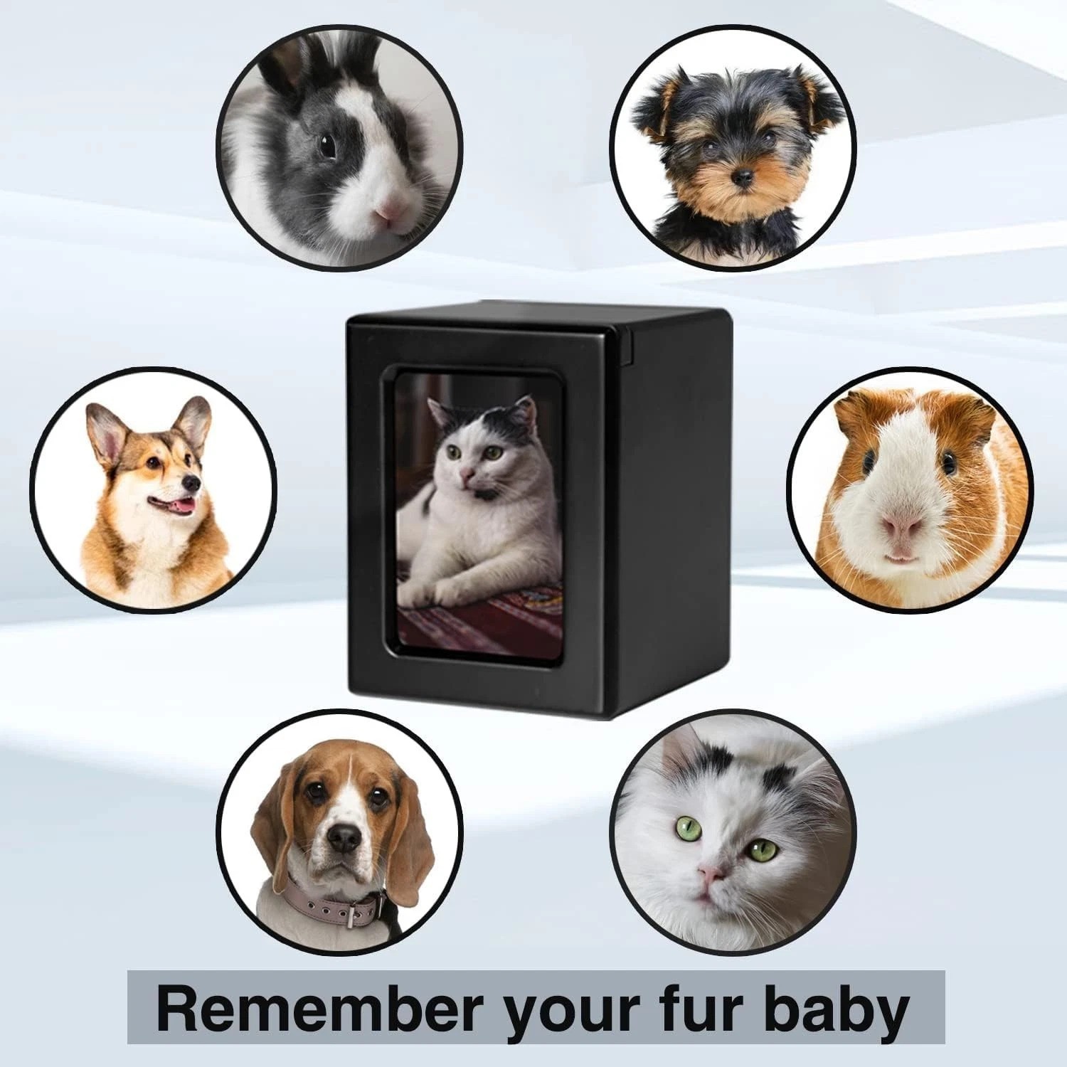 Sliding Photo Frame Cat Urn – Polished Black Wooden Memorial for Cherished Pets
