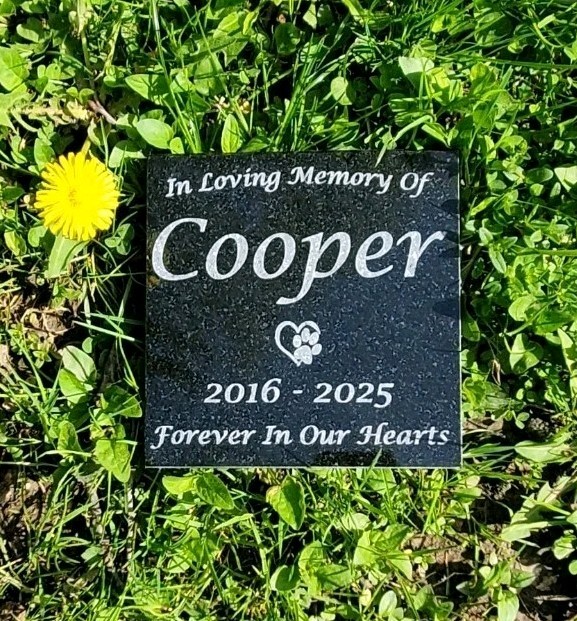 Pet Memorial Granite Stone Engraved Grave Marker Headstone Garden Plaque d5
