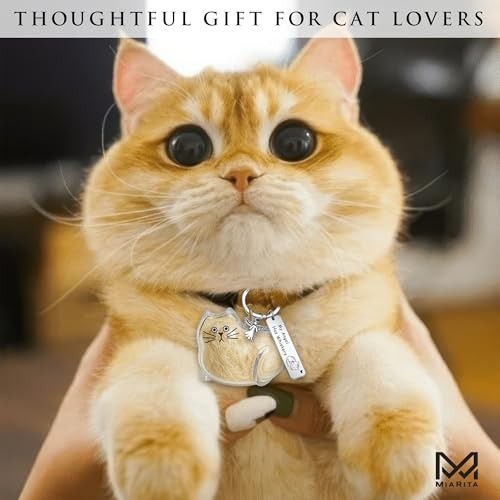 Pet Paw Print KeepSake Dog Memorial Suncatcher Miarita- Kien -Cat Hair Keychain