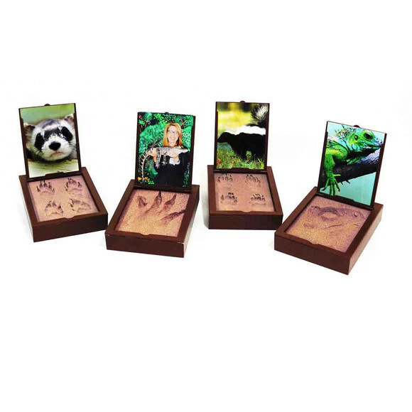 PawPals Paw Print Keepsake Classic Mold Kit – BRAND NEW (LARGE)