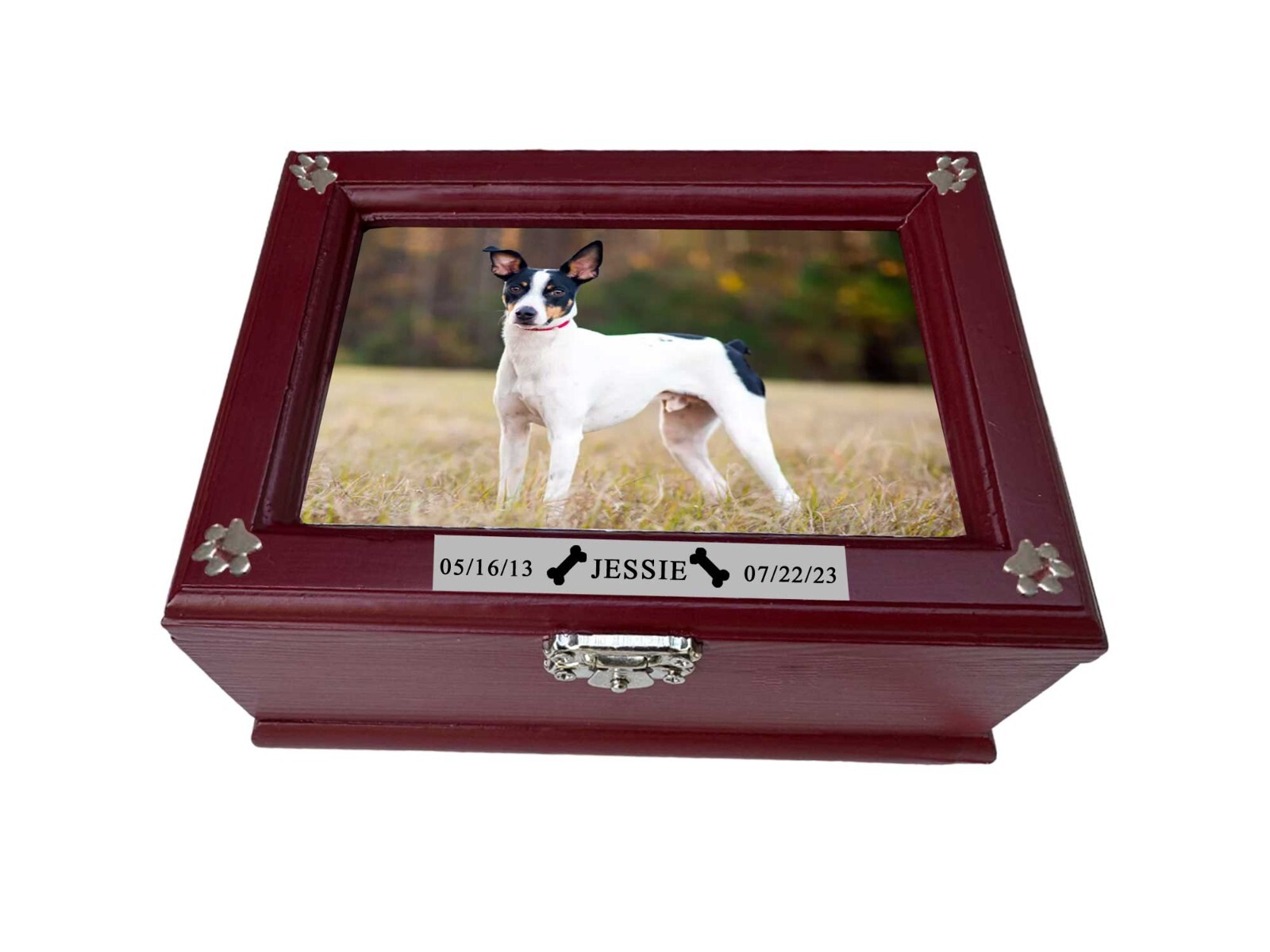 Small Pet Urn For Dogs or Cats, Picture Pet Urn, Engraved Pet Name Plate,