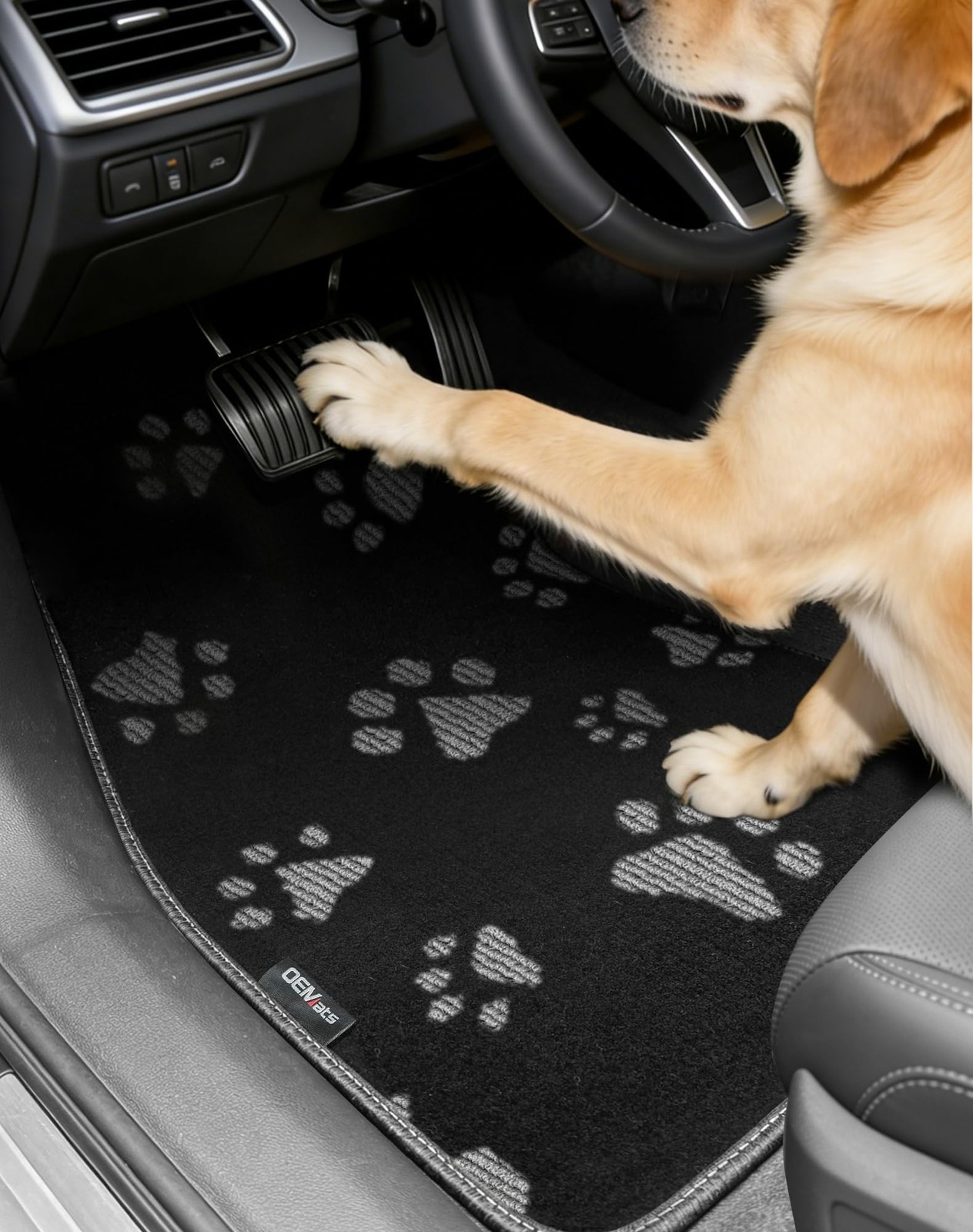 Cute Embroidered Dog Paw Car Floor Mats for Pet Lovers, Universal Fit All Wea…
