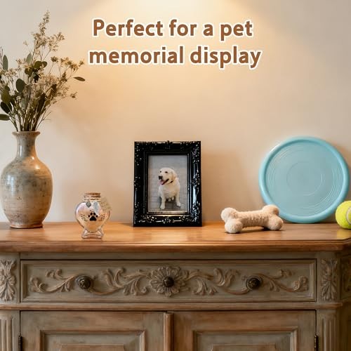 Heart-Shape Glass Jar & Bottle for Pet Memorial – Love My Cat