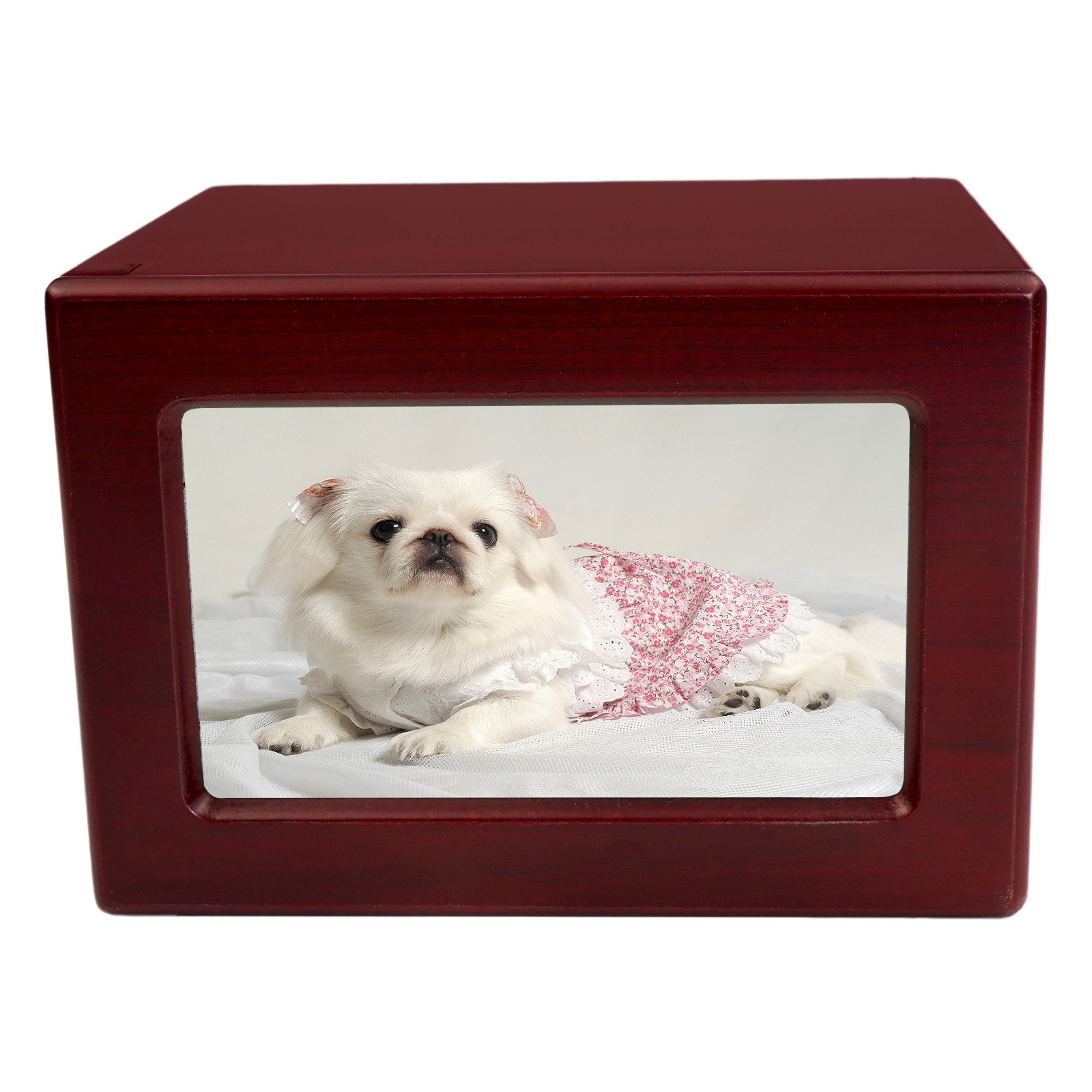 Wooden Red Funeral Cremation Urn with Photo Frame For Dogs And Cats 4.3 x 4.1in