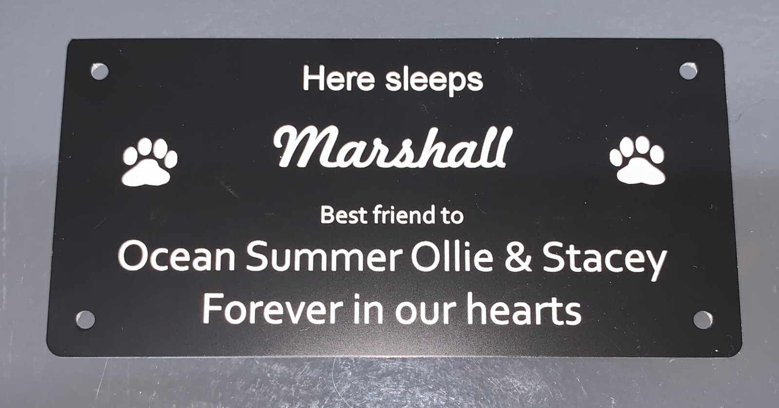 Pet Memorial Plaque (Durablack)